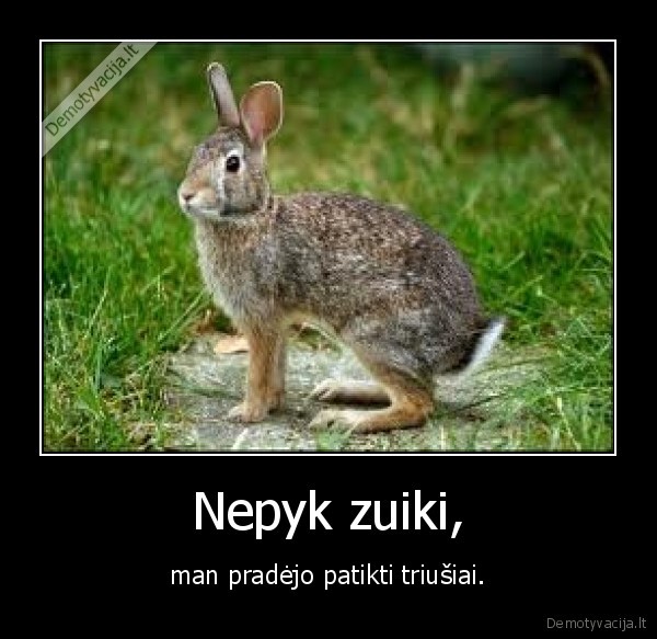 Nepyk zuiki,