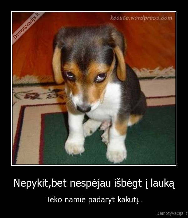 Nepykit,bet nespėjau išbėgt į lauką