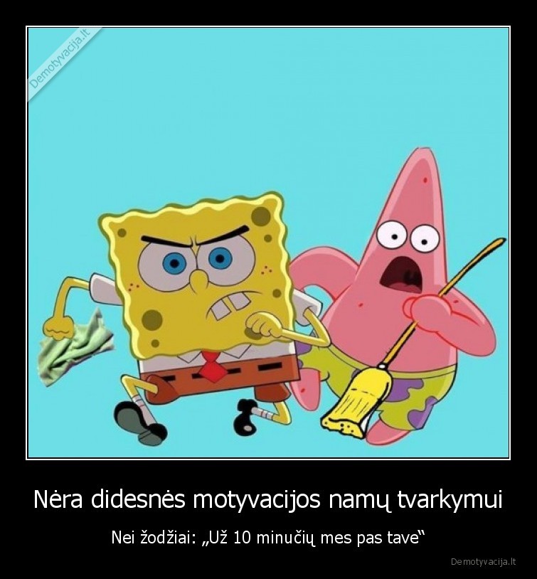 namu, tvarkymas,plotas