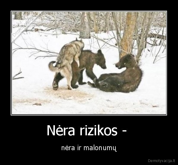 rizika