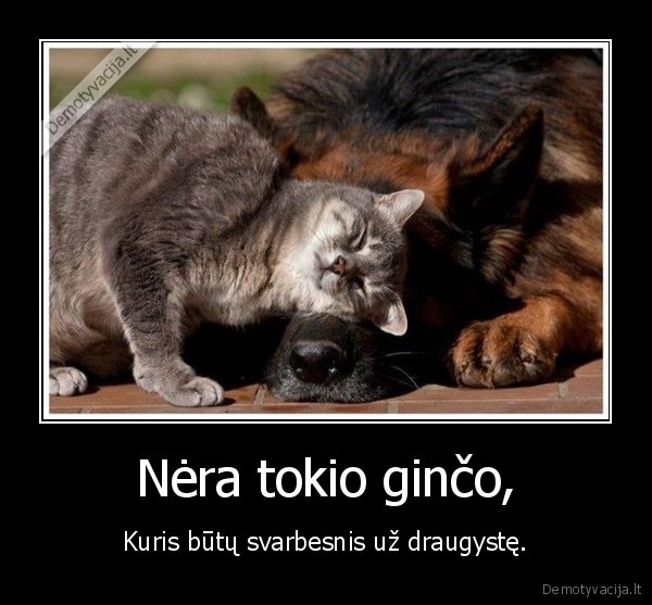 Nėra tokio ginčo,
