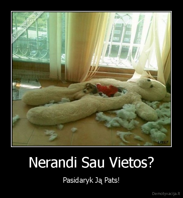 Nerandi Sau Vietos?