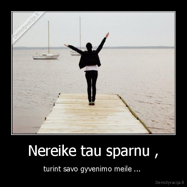 Nereike tau sparnu ,