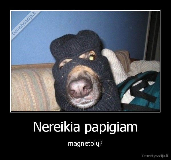 Nereikia papigiam