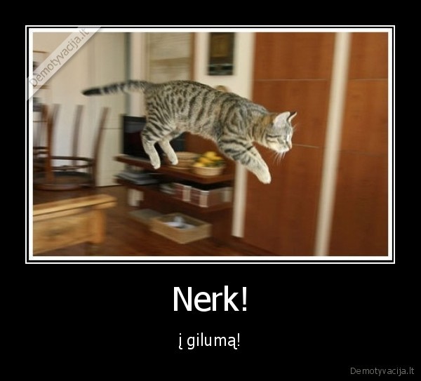 Nerk!