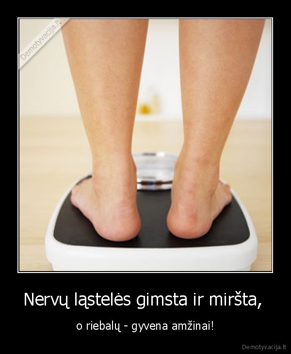 Nervų ląstelės gimsta ir miršta, 