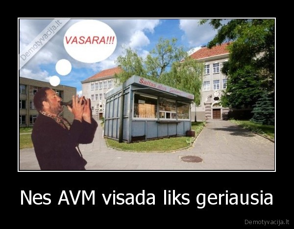 avm, is, da, best, of, best
