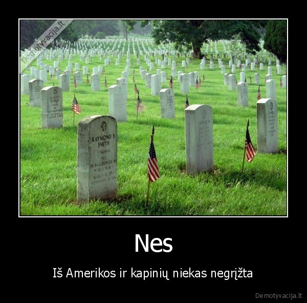 amerika,kapines