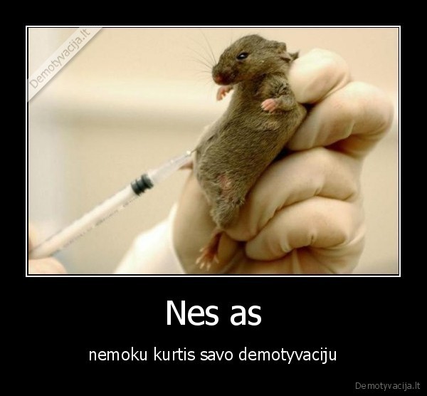Nes as