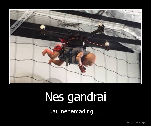 gandras, atnesa, vaikus,dronas, atnesa, vaikus