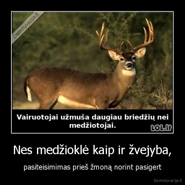 medziokle