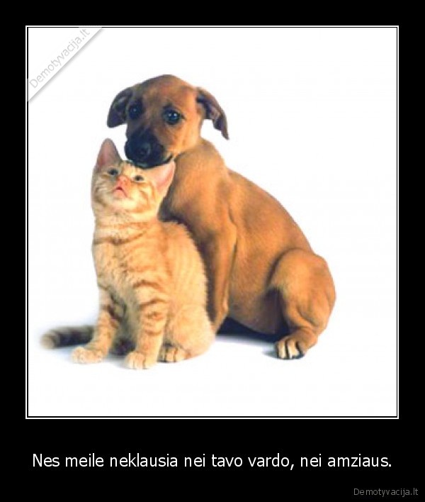 Nes meile neklausia nei tavo vardo, nei amziaus.