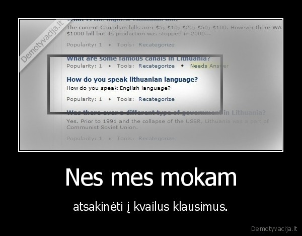 Nes mes mokam