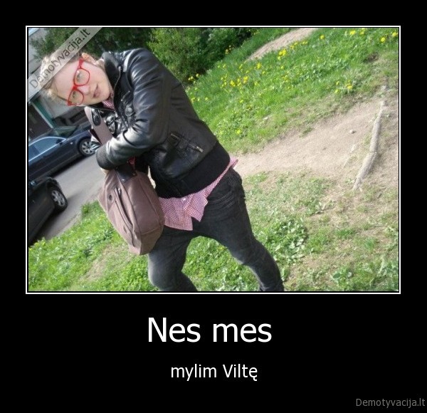 Nes mes 