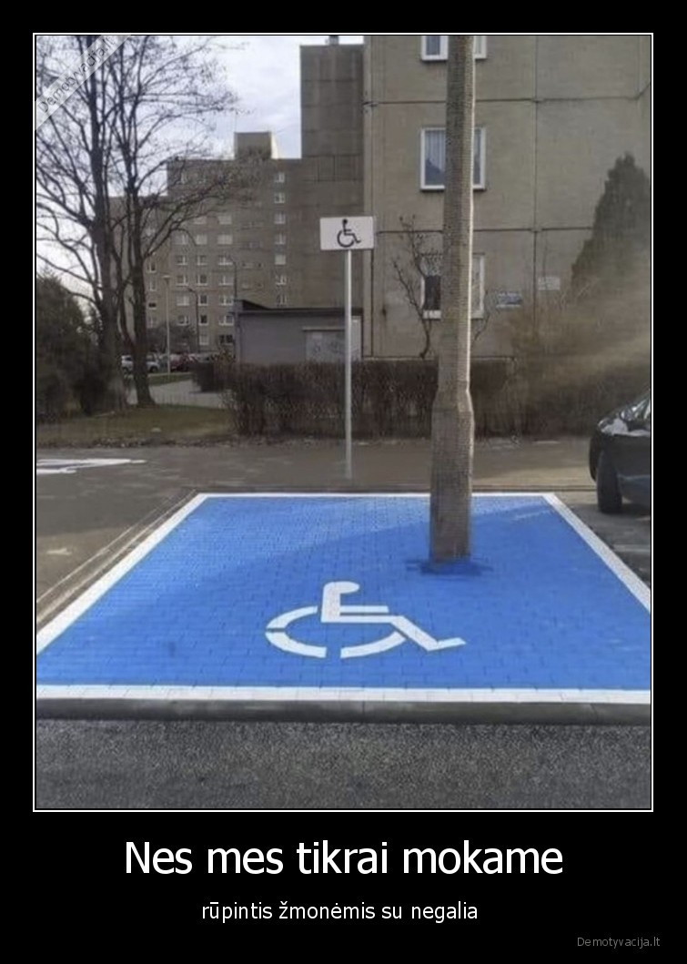 neigalumas,lietuva,parkuote