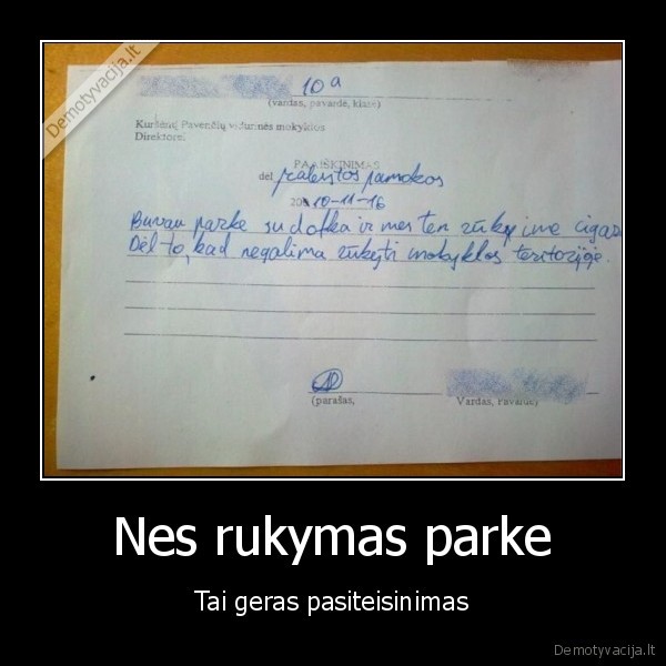 Nes rukymas parke