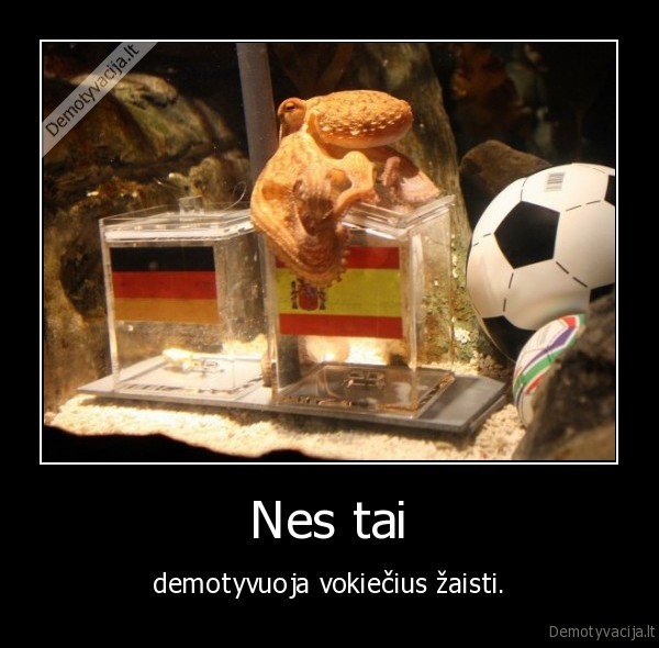 Nes tai