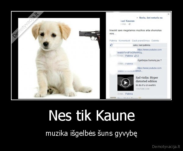 muzika,kaunas,suo,ginklas
