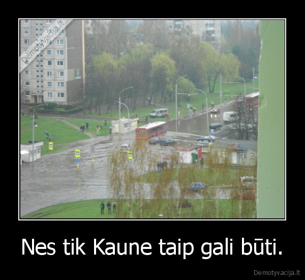 Nes tik Kaune taip gali būti.
