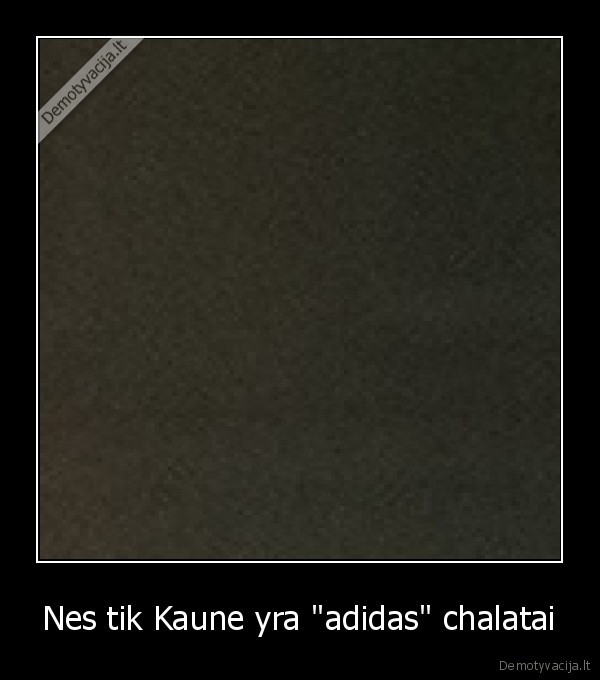 kaunas,adidas