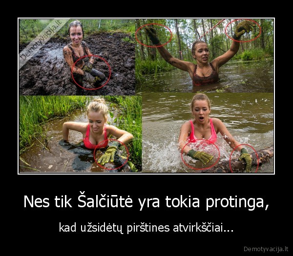 salciute,lol,nemoka,uzsidet,pirstiniu,labai,protinga,intelektas
