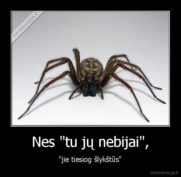 vorai,slepiama, baime