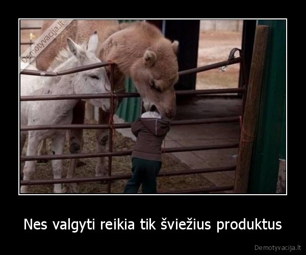 Nes valgyti reikia tik šviežius produktus