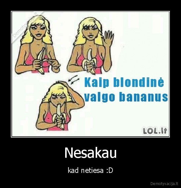 Nesakau