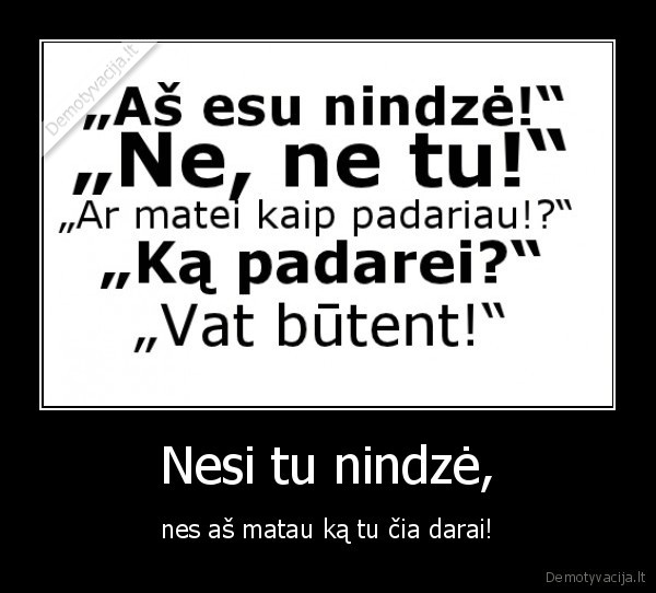 Nesi tu nindzė,