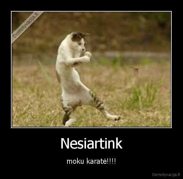 Nesiartink