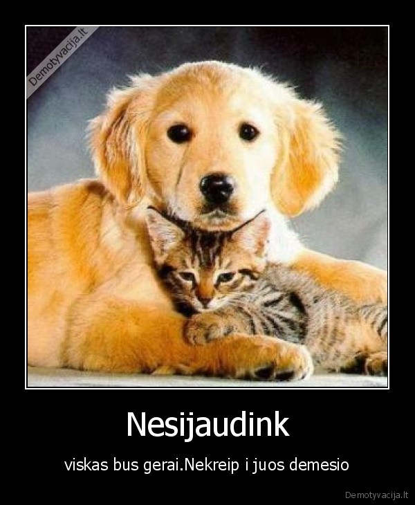 Nesijaudink