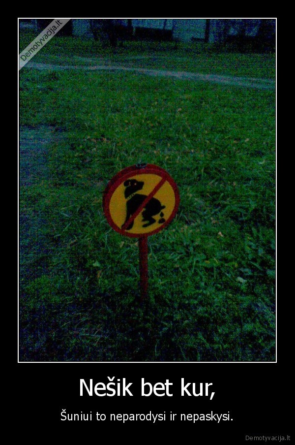 Nešik bet kur,