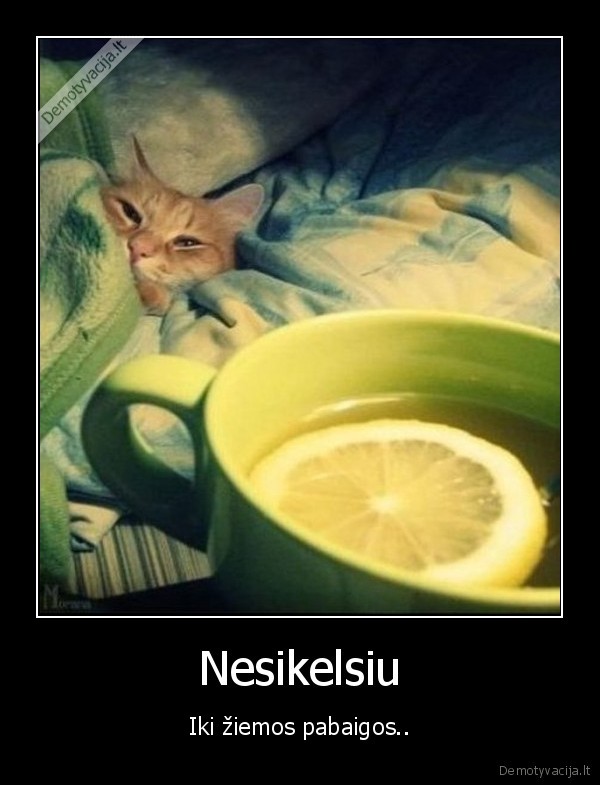 Nesikelsiu