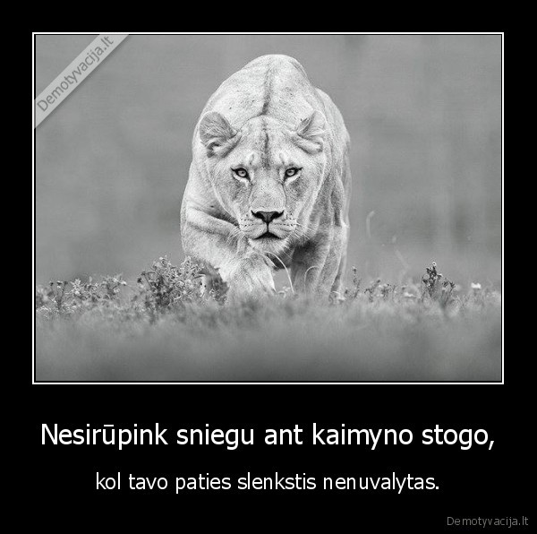 Nesirūpink sniegu ant kaimyno stogo,