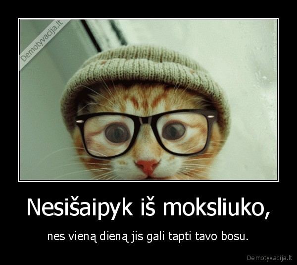 nesisaipyk, is, kitu