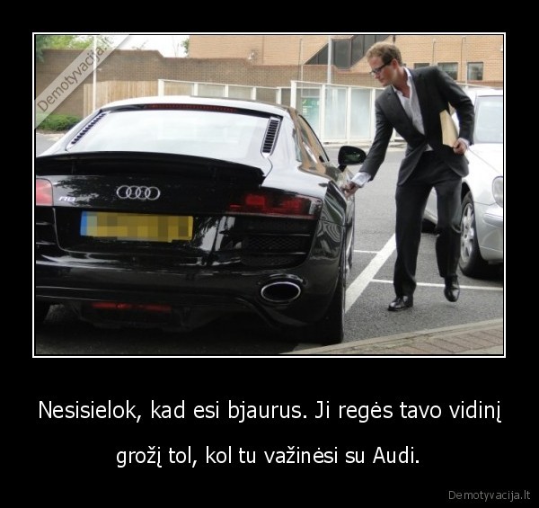 audi,vidinis, grozis