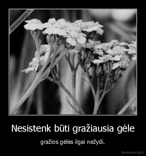 Nesistenk būti gražiausia gėle