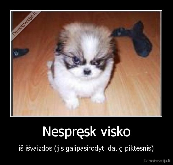 Nespręsk visko