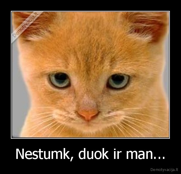 bad, pic, omg, katinas, lold