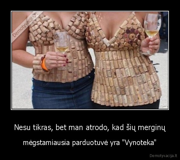 vynoteka,vynas,kamsciai,merginos