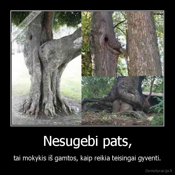 Nesugebi pats,