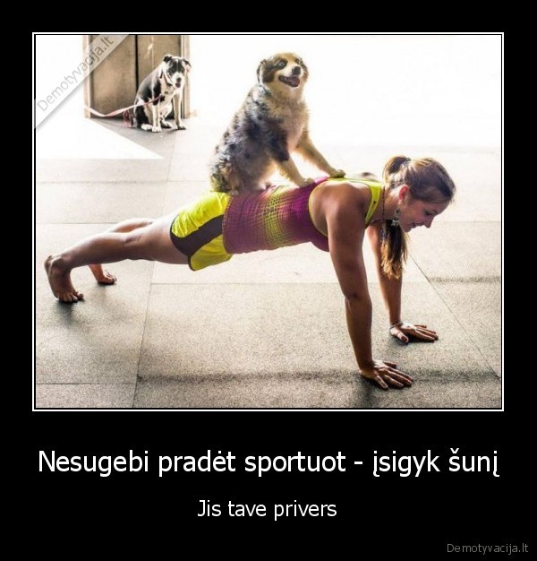 suo,sportas
