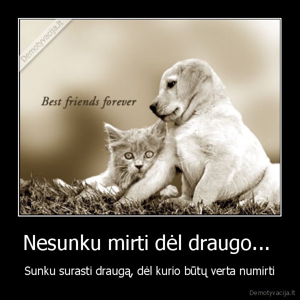 draugas