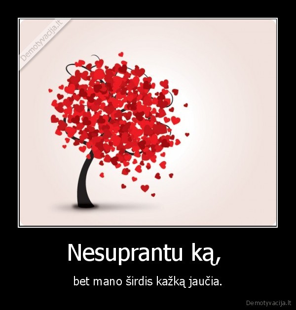 Nesuprantu ką, 