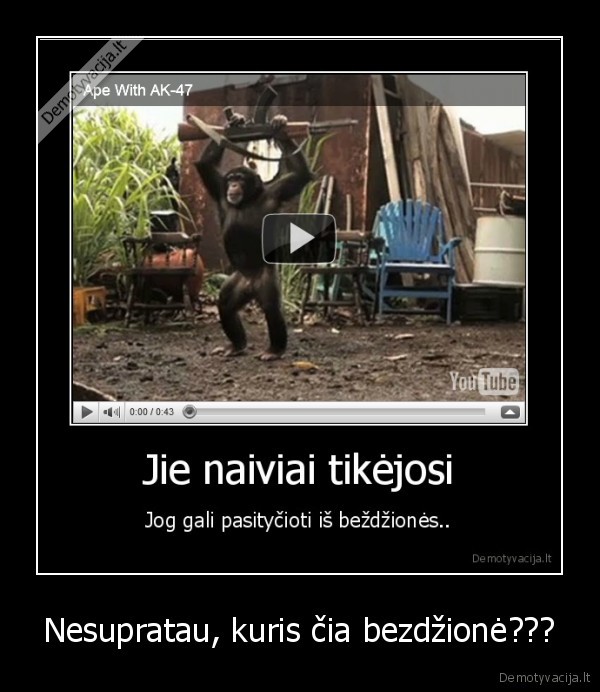 as, ne, rasistas, 