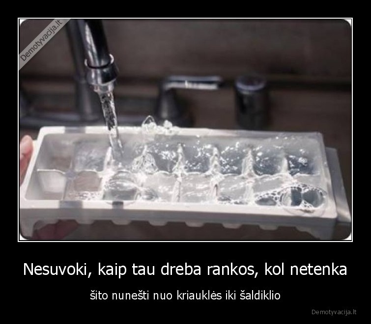 ledukai