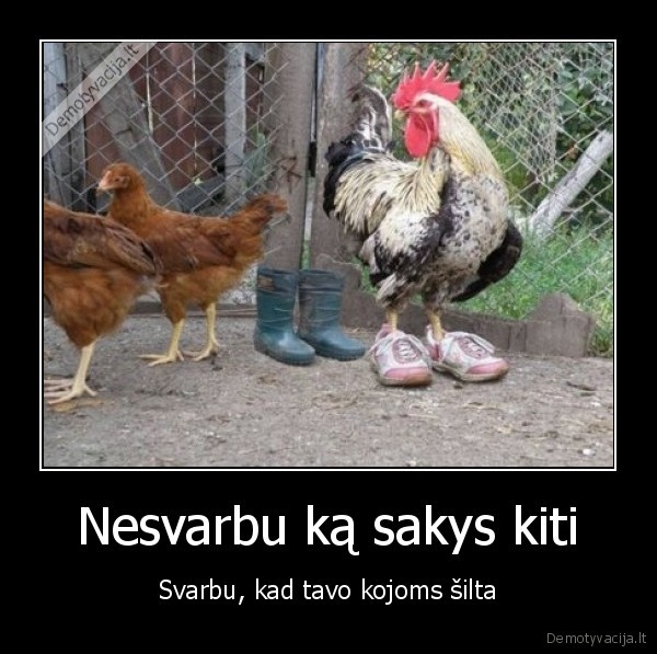 Nesvarbu ką sakys kiti