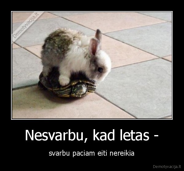 jok, poni,jok
