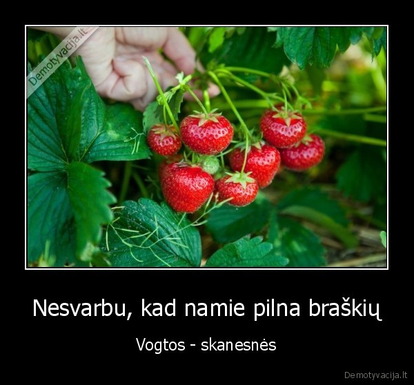 Nesvarbu, kad namie pilna braškių