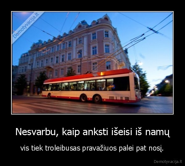kas, tos, zymos